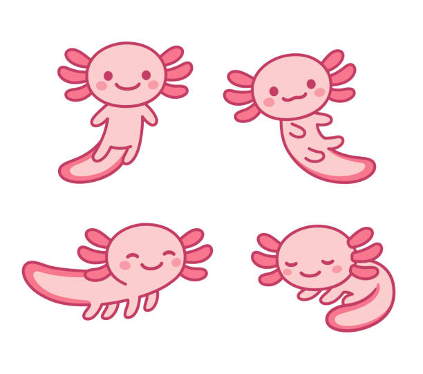 Cute cartoon axolotl set vector art illustration