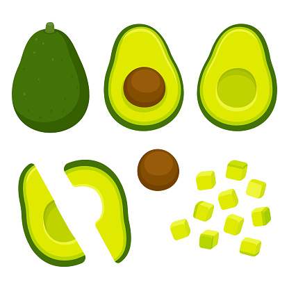 Avocado cutting vector set. Whole avocado, halved and pitted, and cubed for salad. Cartoon style cooking illustration.