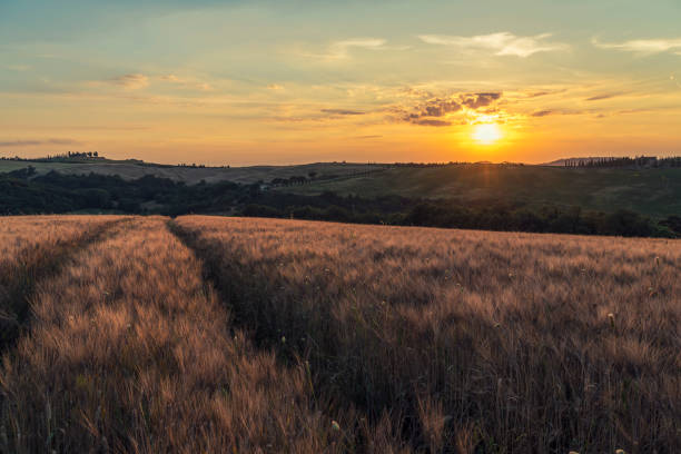 istock Landscape of Castiglione d'Orcia. 1047246998