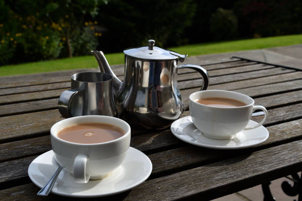 istock Tea for two in the garden 1047264498