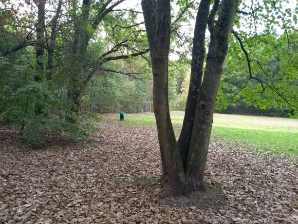 istock Scenic park lush foliage 1047270876
