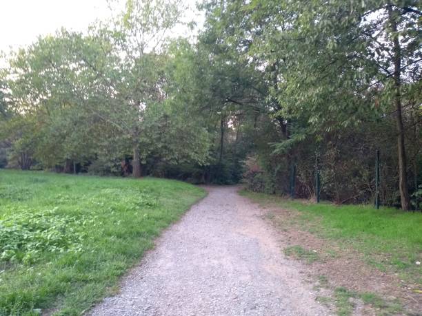 istock Scenic park lush foliage 1047280008