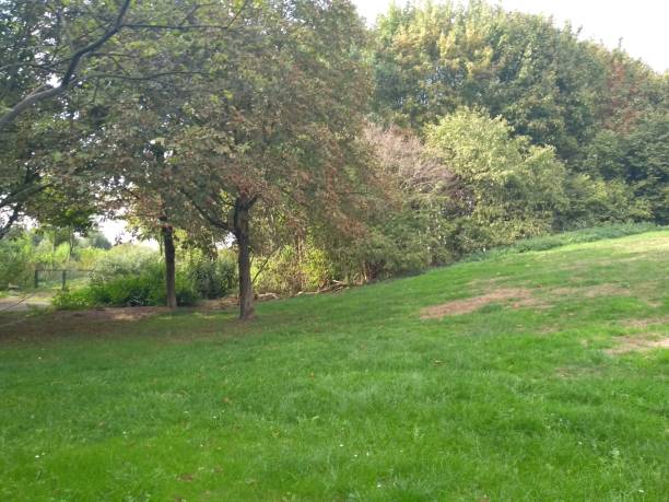 istock Scenic park lush foliage 1047280212