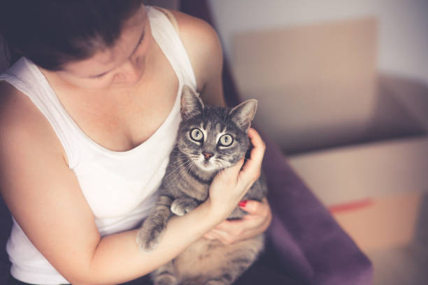 istock Women holding her cat 1047304152