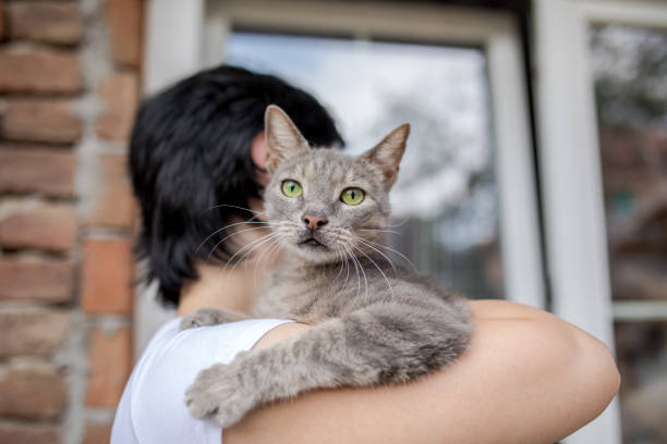 istock Women holding her cat 1047304250