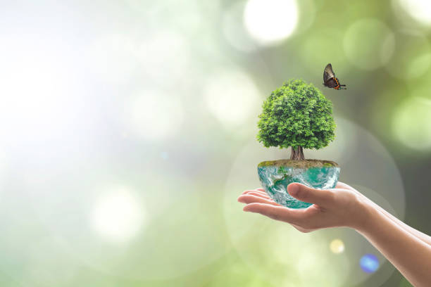 istock Saving environment and natural conservation concept with tree planing on green globe earth on volunteer's hands: Elements of this image furnished by NASA 1047316370