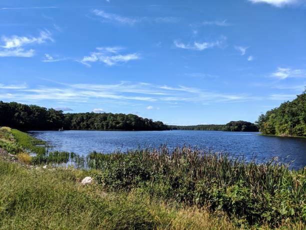 istock View of the lake along the side grass 1047325162