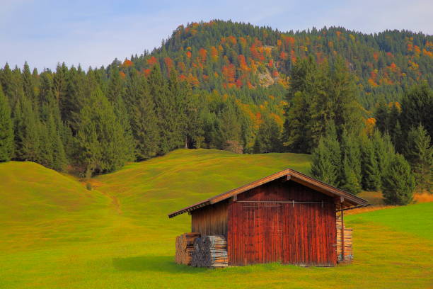 graneros de madera para pasto y heno, garmisch, alpes bávaros, alemania - waxenstein fotografías e imágenes de stock