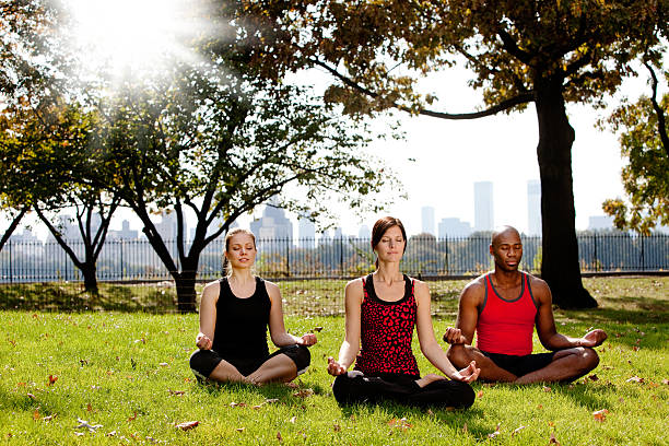 istock Yoga in Park 104733869