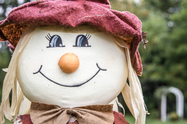 Scarecrow in a pumpkin patch