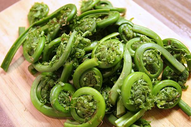 istock Fresh fiddlehead fern buds 104734980
