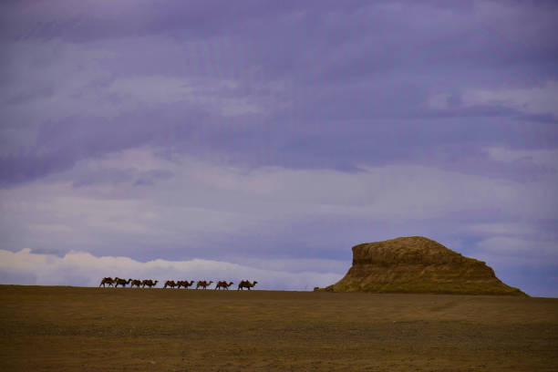 istock A Camel Caravan Travels on the Desert 1047350550