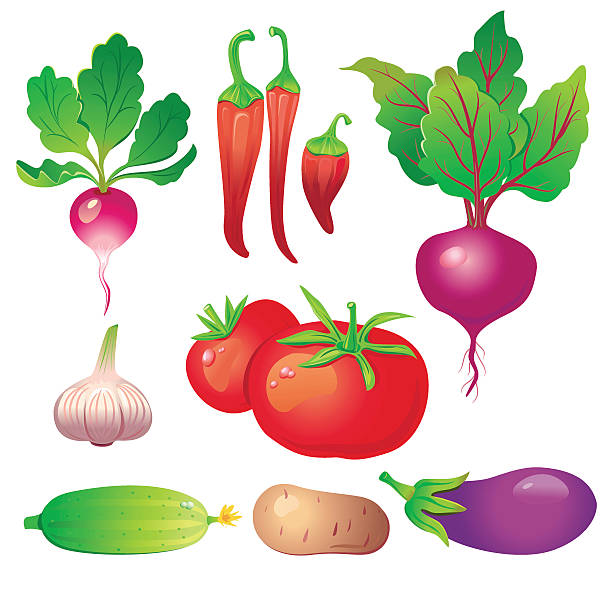 Vegetables vector art illustration