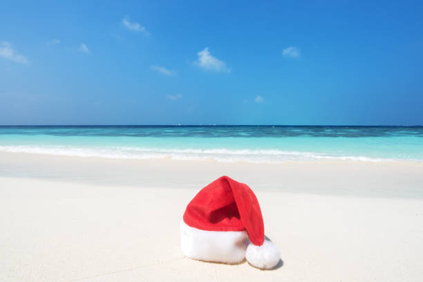 istock Tropical Paradise Chrismas Holiday Concept 1047365196