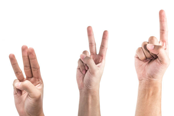 istock Counting 1-2-3 Fingers on Hand set isolated over white background 1047372392