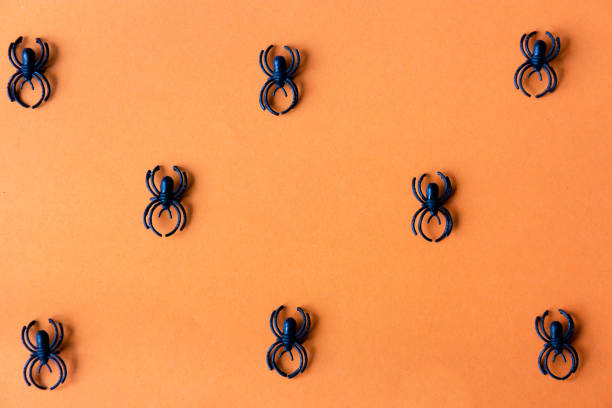 istock black spiders on the orange background 1047380182