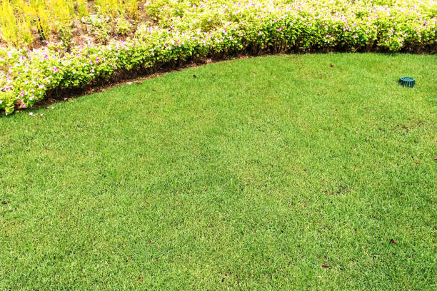 istock Garden Lawn Copy Space Scene 1047389310