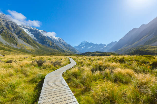 istock Footpath trail section in Hooker Valley on a track leading to Aoraki, Mount Cook, highest peak of Southern Alps, New Zealand 1047389858