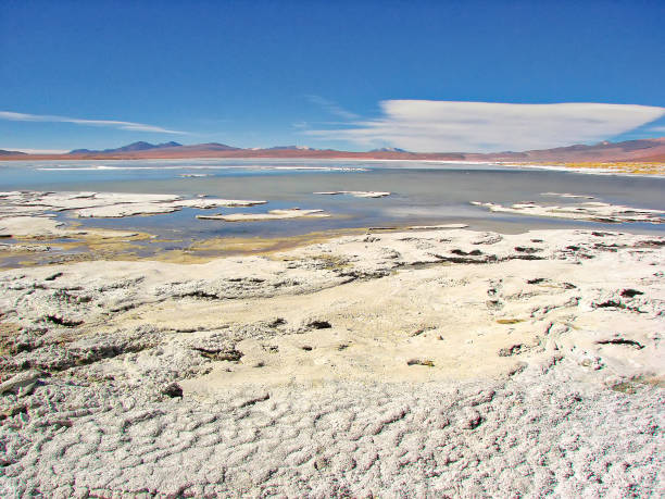 bolivia, salar de uyuni, aguas calientes laghi e paesaggi panoramici - geyser nature south america scenics foto e immagini stock