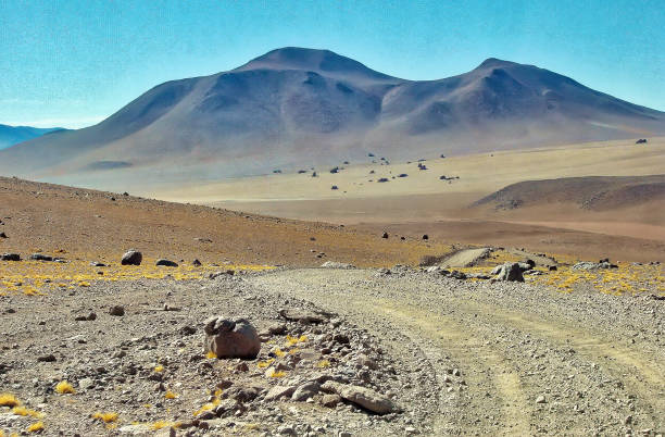 bolivia, salar de uyuni, aguas calientes laghi e paesaggi panoramici - geyser nature south america scenics foto e immagini stock