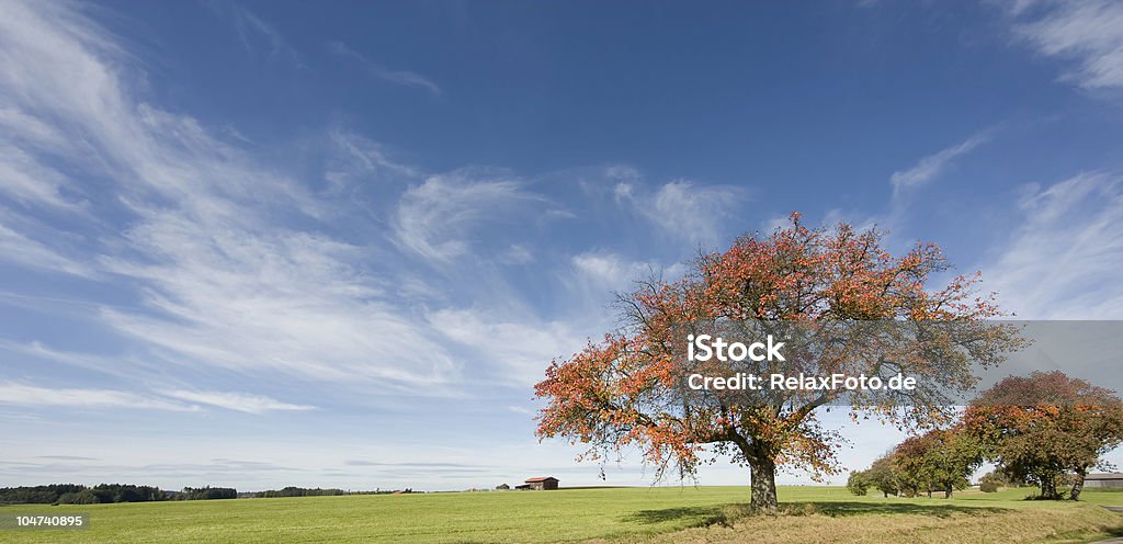 Herbstliche Landschaft mit Bäumen und majestätischen skyscape (XL - Lizenzfrei Blau Stock-Foto