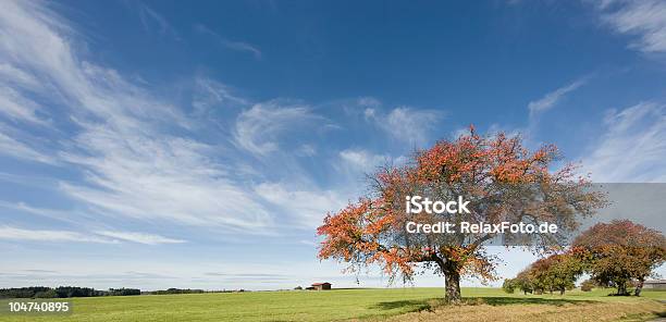 Herbstliche Landschaft Mit Bäumen Und Majestätischen Skyscape Xl Stockfoto und mehr Bilder von Blau