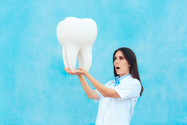 oral cavity interior view mouth dentistry
