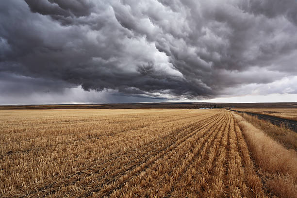 istock Impending storm in a field in Montana, USA 104741896