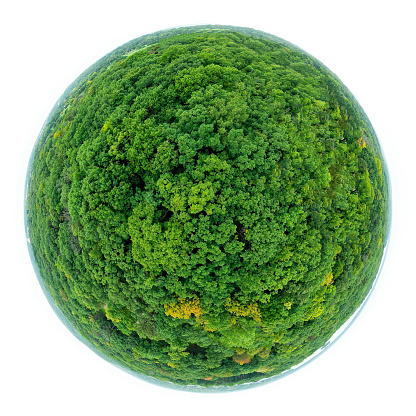 A green little planet all covered with trees.