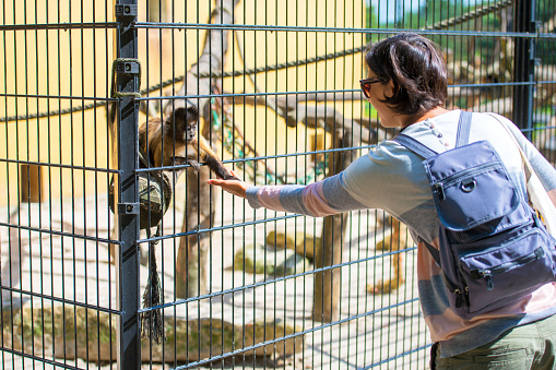 woman giving food to a monkey at zoo