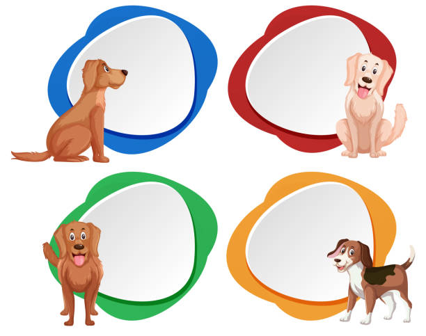 ilustrações de stock, clip art, desenhos animados e ícones de set of dog banner - golden retriever retriever white background isolated