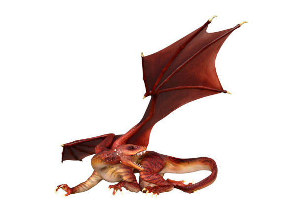 istock 3D illustration red fantasy dragon on white 1047455340