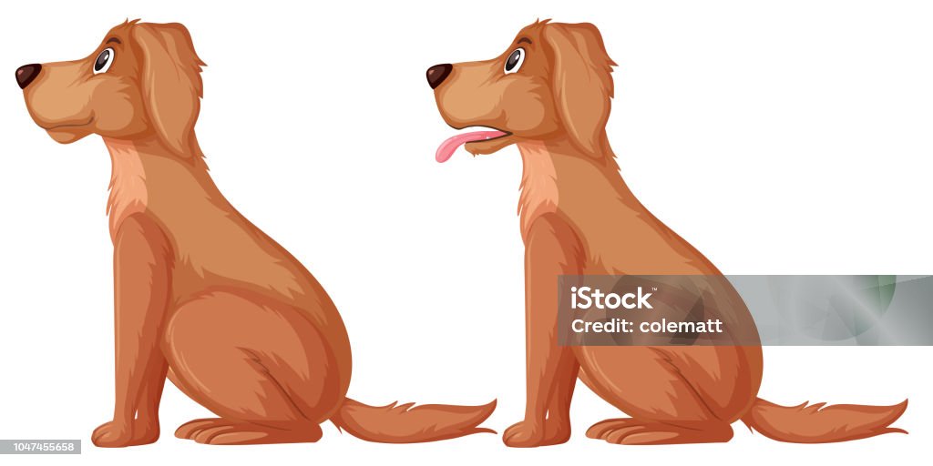 Side of golden retriever Side of golden retriever illustration Animal stock vector