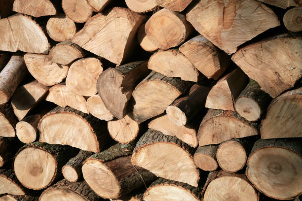 istock Pile of firewood. 1047455892