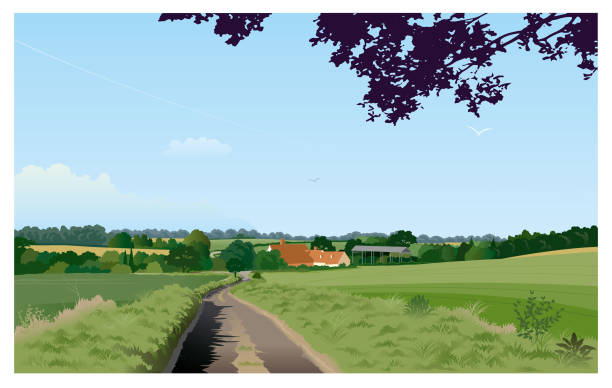 Green English landscape illustration A typically English summer landscape with farm, woodland and fields. suffolk england stock illustrations
