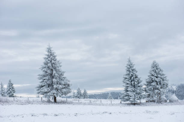 istock Fairy snowy winter Christmas landscape 1047459348