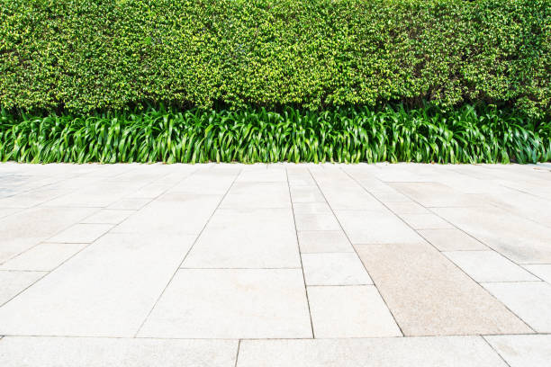 istock Open Air Parking Lot And Green Hedge Background 1047465926