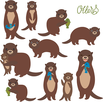 Funny brown otter collection on white background. Kawaii. Vector illustration