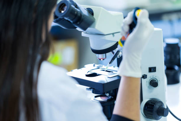 istock Rear view of Scientist holding pipette working a microscope at the laboratory, Concept science and Technology 1047482474