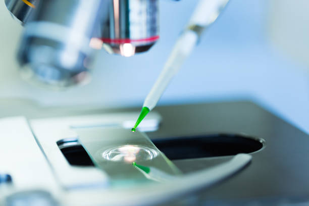istock Scientist dropping chemical liquid on the slide at microscope, 1047482488