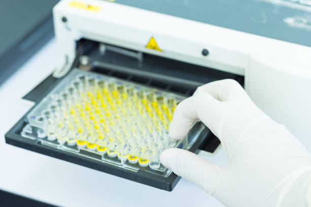 istock Scientist is putting ELISA plate to measure OD with micro plate reader, Selective Focus 1047482518