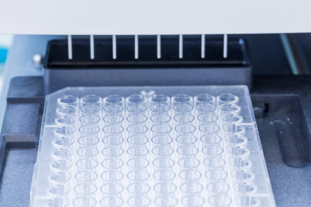 istock Close up 96 well plates on the Plate washer in laboratory 1047482532