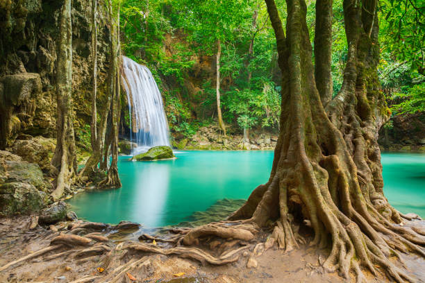 cascata bella (cascata di erawan) nella provincia di kanchanaburi asia sud-est asiatico thailandia - erawan falls foto e immagini stock