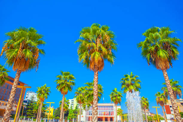 istock Albania, Durres, palms on the central square 1047490410