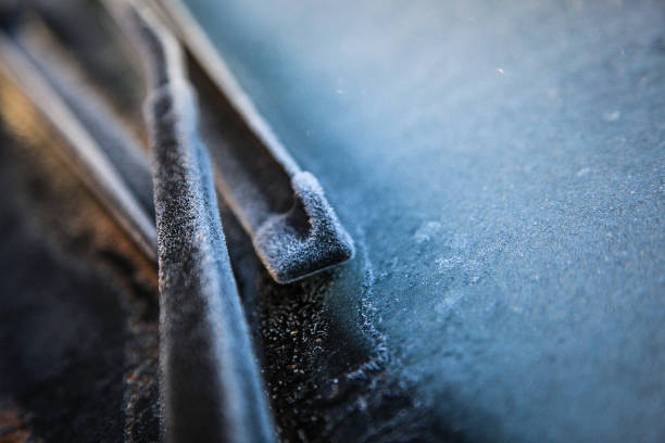 Frost car, Morning frost