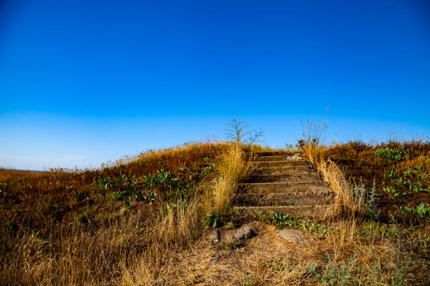 istock Stairs to the meadow. 1047499462
