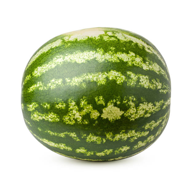 istock watermelon isolated on white background, clipping path, full depth of field 1047503704