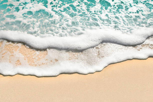 istock Sea shore and sandy beach, background, tourist concept 1047503770