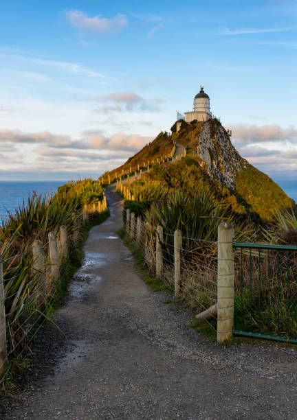 istock Nugget Point Lighthouse In The Afternoon Sun 1047508034
