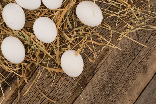istock Chicken  eggs in the straw and wooden table. Selective focus. 1047518470
